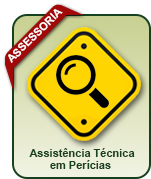 Assistência Técnica em Perícias